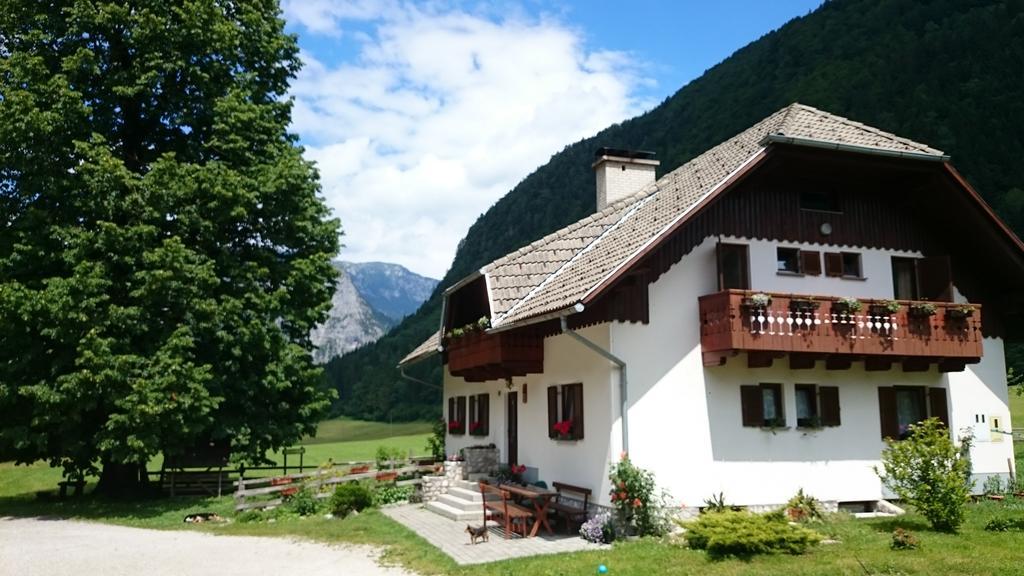 Farm Stay Juvanija Солчава Экстерьер фото
